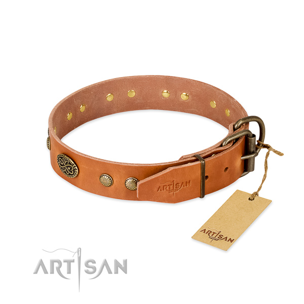 Reliable decorations on leather dog collar for your pet