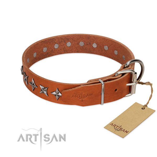 Everyday use studded dog collar of high quality genuine leather