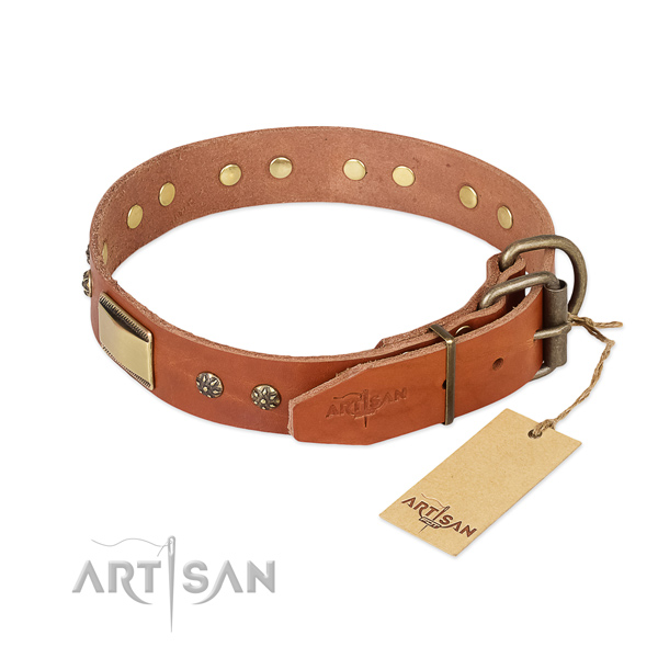 Full grain natural leather dog collar with rust resistant fittings and studs