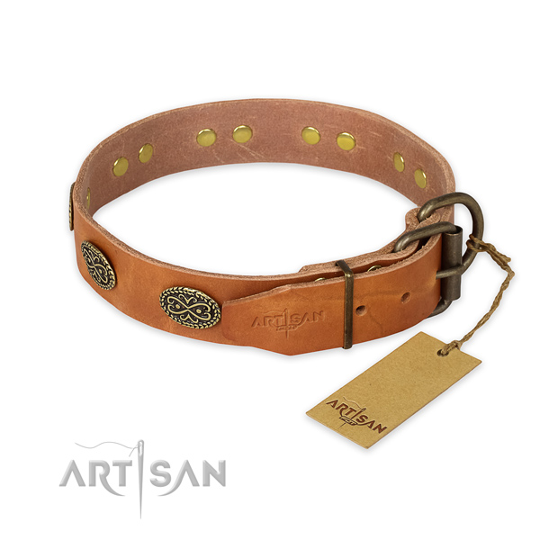 Durable D-ring on full grain natural leather collar for walking your pet