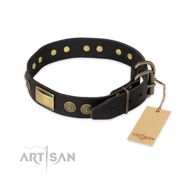 Reliable buckle on leather collar for stylish walking your canine