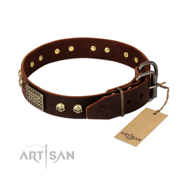 Durable studs on easy wearing dog collar