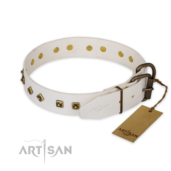 Durable traditional buckle on genuine leather collar for daily walking your doggie