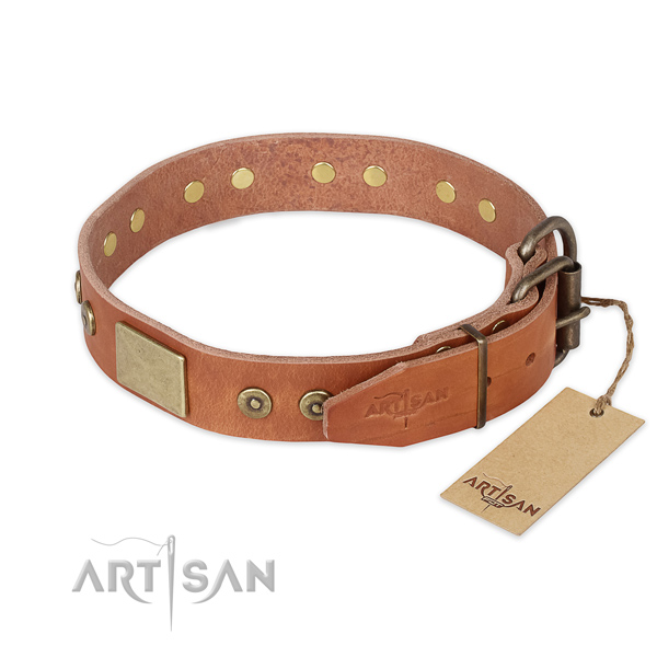 Rust-proof hardware on full grain leather collar for basic training your pet