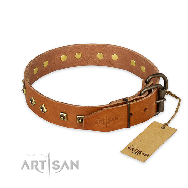 Reliable hardware on leather collar for stylish walking your four-legged friend