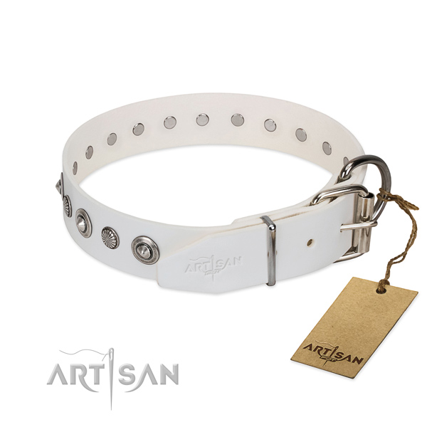 Top quality full grain natural leather dog collar with stylish design adornments