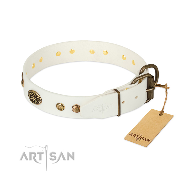 Strong studs on full grain leather dog collar for your canine