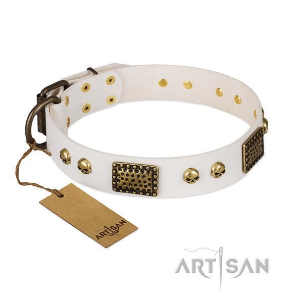 Rust-proof studs on easy wearing dog collar