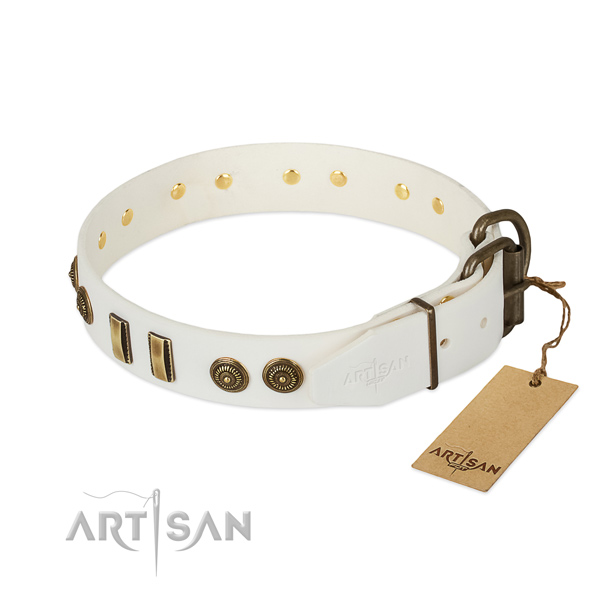 Corrosion proof adornments on full grain leather dog collar for your four-legged friend