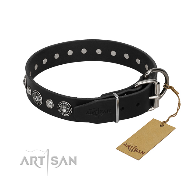 Strong full grain leather dog collar with extraordinary adornments