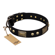 "Biker Style" FDT Artisan Black Leather Sharpei Collar with Old Bronze Look Plates and Skulls "Biker Style" FDT Artisan Black Leather Sharpei Collar with Old Bronze Look Plates and Skulls