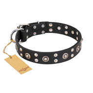 "Refined Essence" FDT Artisan Black Leather Sharpei Collar with Silvery Studs