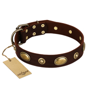 "Hebe's Jewel" FDT Artisan Brown Genuine Leather Sharpei Collar