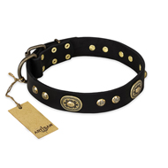 "High Fashion" FDT Artisan Studded with Plates Black Leather Sharpei Collar