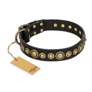 "Gold Mine" FDT Artisan Black Leather Sharpei Collar with Amazing Bronze-Plated Round Studs