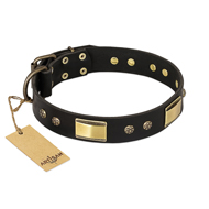 "Black Sun" FDT Artisan Leather Sharpei Collar with Brass Plated Decorations "Black Sun" FDT Artisan Leather Sharpei Collar with Brass Plated Decorations