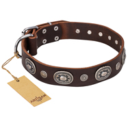 "Extra Pizzazz" FDT Artisan Adorned Brown Leather Sharpei Collar "Extra Pizzazz" FDT Artisan Adorned Brown Leather Sharpei Collar
