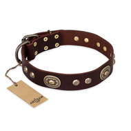 "Breath of Elegance" FDT Artisan Decorated with Plates Brown Leather Sharpei Collar "Breath of Elegance" FDT Artisan Decorated with Plates Brown Leather Sharpei Collar