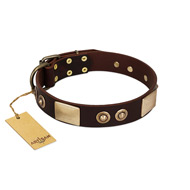 "Sense of Freedom" FDT Artisan Brown Leather Sharpei Collar with Old Bronze-Plated Studs and Plates
