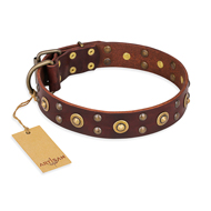 "Caprice of Fashion" FDT Artisan Brown Leather Sharpei Collar with Round Decorations "Caprice of Fashion" FDT Artisan Brown Leather Sharpei Collar with Round Decorations