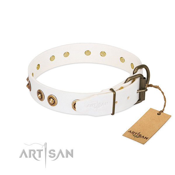 Rust-proof adornments on full grain leather dog collar for your dog