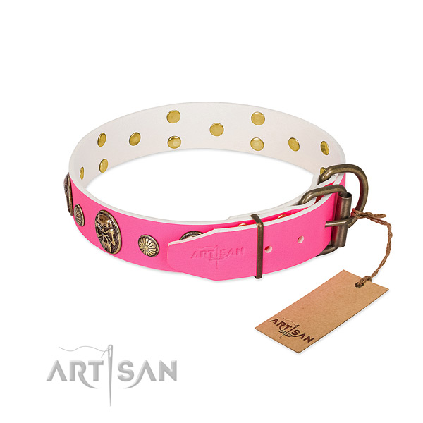 Durable studs on genuine leather dog collar for your dog