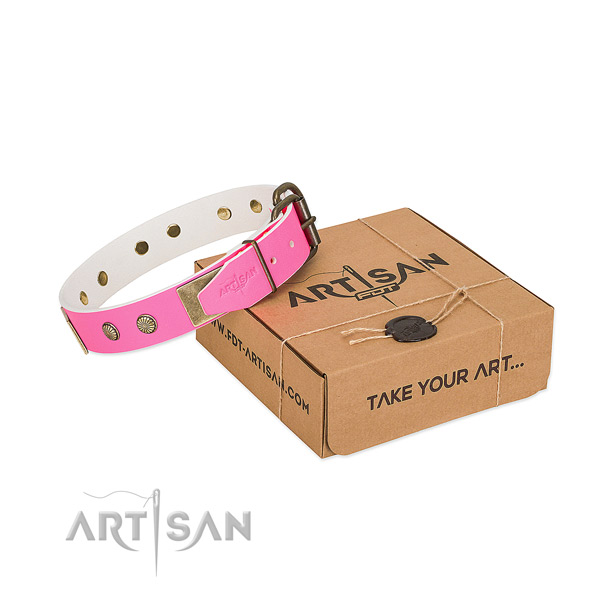 Corrosion proof traditional buckle on dog collar for stylish walking