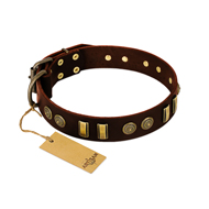 "Golden Elegance" FDT Artisan Brown Leather Sharpei Collar with Old Bronze-like Decorations
