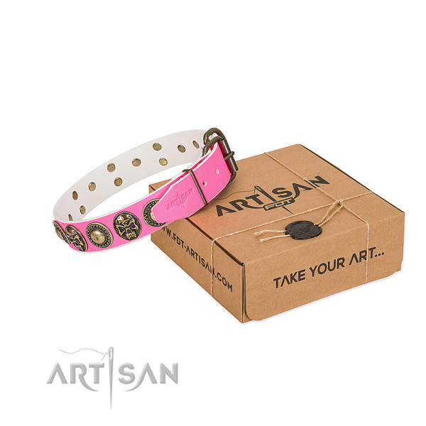 Corrosion resistant D-ring on dog collar for everyday walking