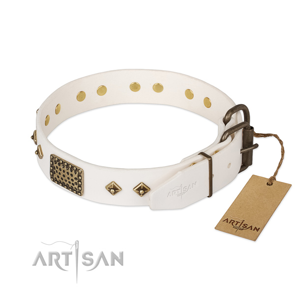 Full grain natural leather dog collar with rust resistant traditional buckle and studs
