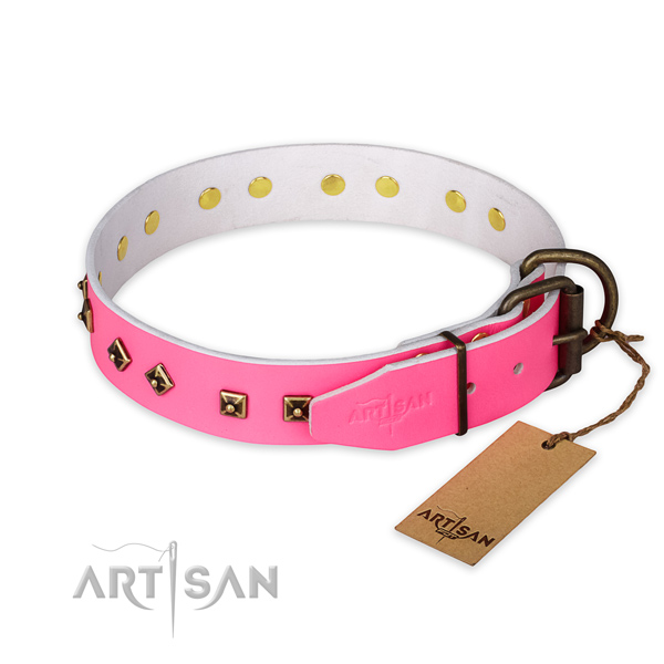 Reliable buckle on genuine leather collar for daily walking your four-legged friend