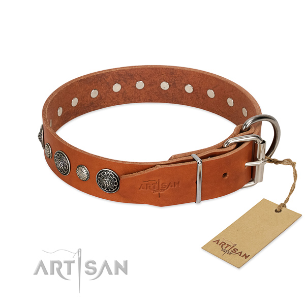 Reliable natural leather dog collar with corrosion resistant hardware