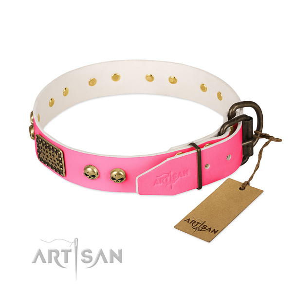 Durable hardware on comfortable wearing dog collar