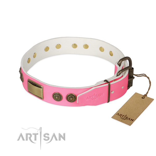 Durable embellishments on daily walking dog collar