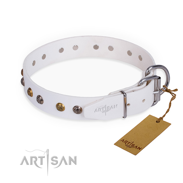 Genuine leather dog collar with exceptional corrosion resistant adornments