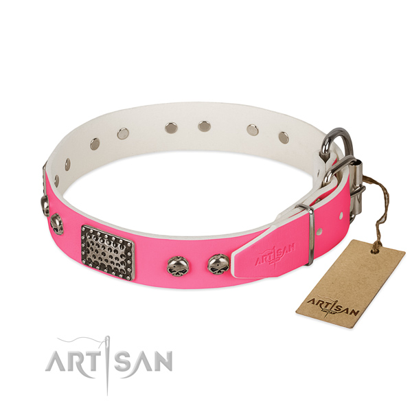 Corrosion proof hardware on stylish walking dog collar