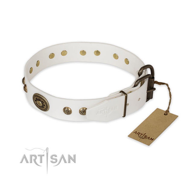 Rust-proof buckle on full grain leather collar for everyday walking your canine