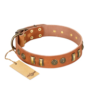 "Natural Beauty" FDT Artisan Tan Leather Sharpei Collar with Old Bronze-like Circles and Plates
