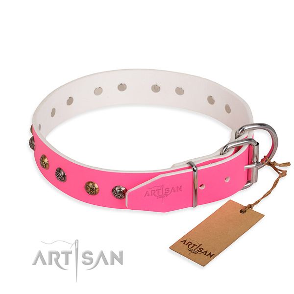 Full grain natural leather dog collar with stylish reliable adornments