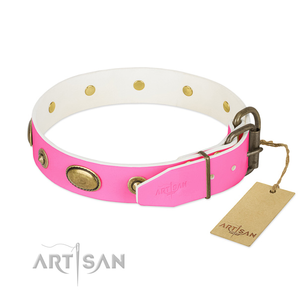 Corrosion proof embellishments on leather dog collar for your pet