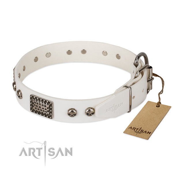 Rust-proof adornments on handy use dog collar