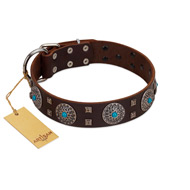 "Hypnotic Stones" FDT Artisan Brown Leather Sharpei Collar with Chrome Plated Brooches and Square Studs