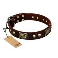 "Magic Amulet" Brown Leather Sharpei Collar with Skulls and Plates