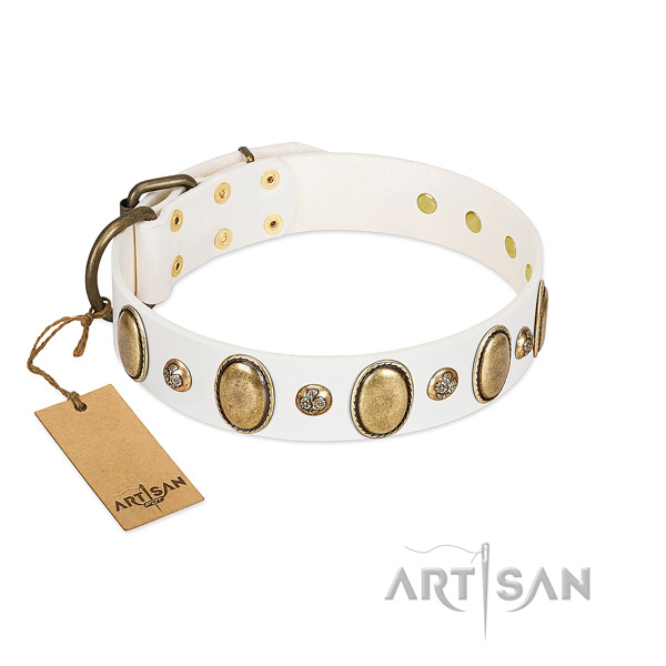 Leather dog collar of quality material with unusual studs