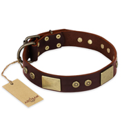 "Shining Armour" FDT Artisan Brown Leather Sharpei Collar with Decorations