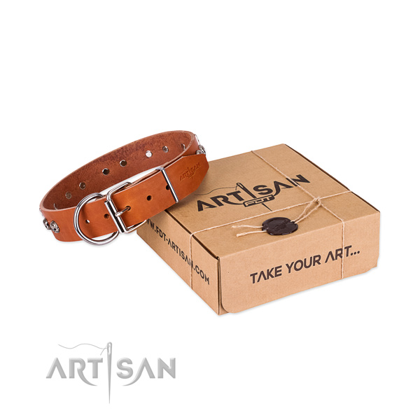 Reliable buckle on dog collar for stylish walking