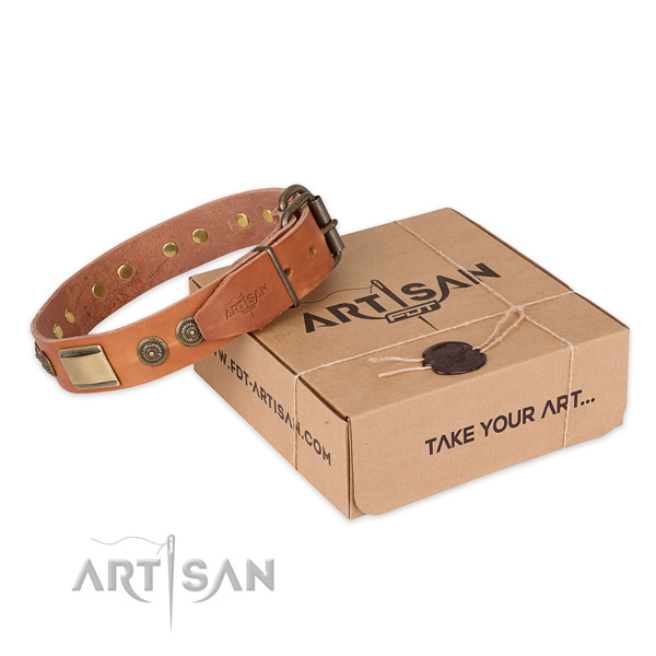 Corrosion proof fittings on full grain natural leather dog collar for walking