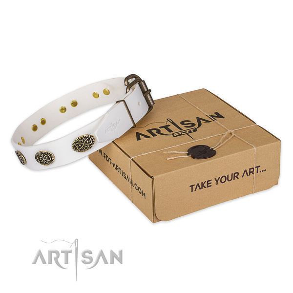 Corrosion proof buckle on full grain natural leather collar for your stylish pet