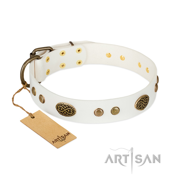 Rust resistant embellishments on full grain genuine leather dog collar for your canine