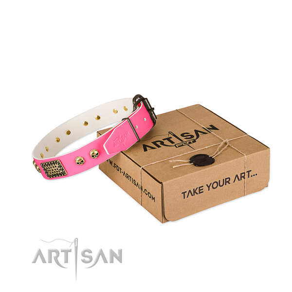 Reliable D-ring on dog collar for everyday use